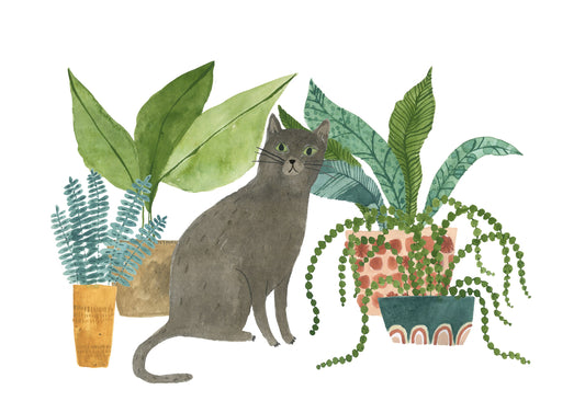 Cat and Houseplants Giclée print