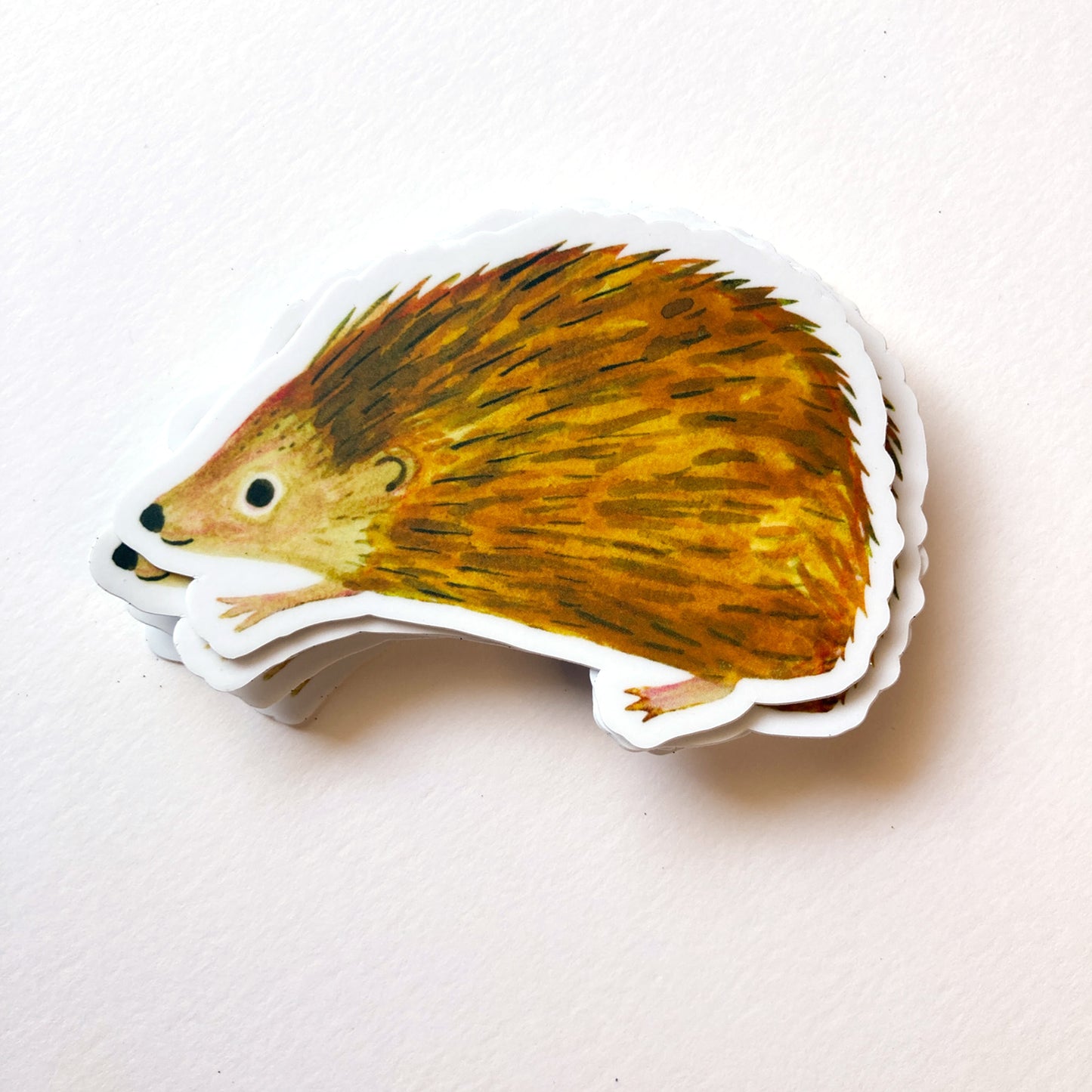 Hedgehog Sticker