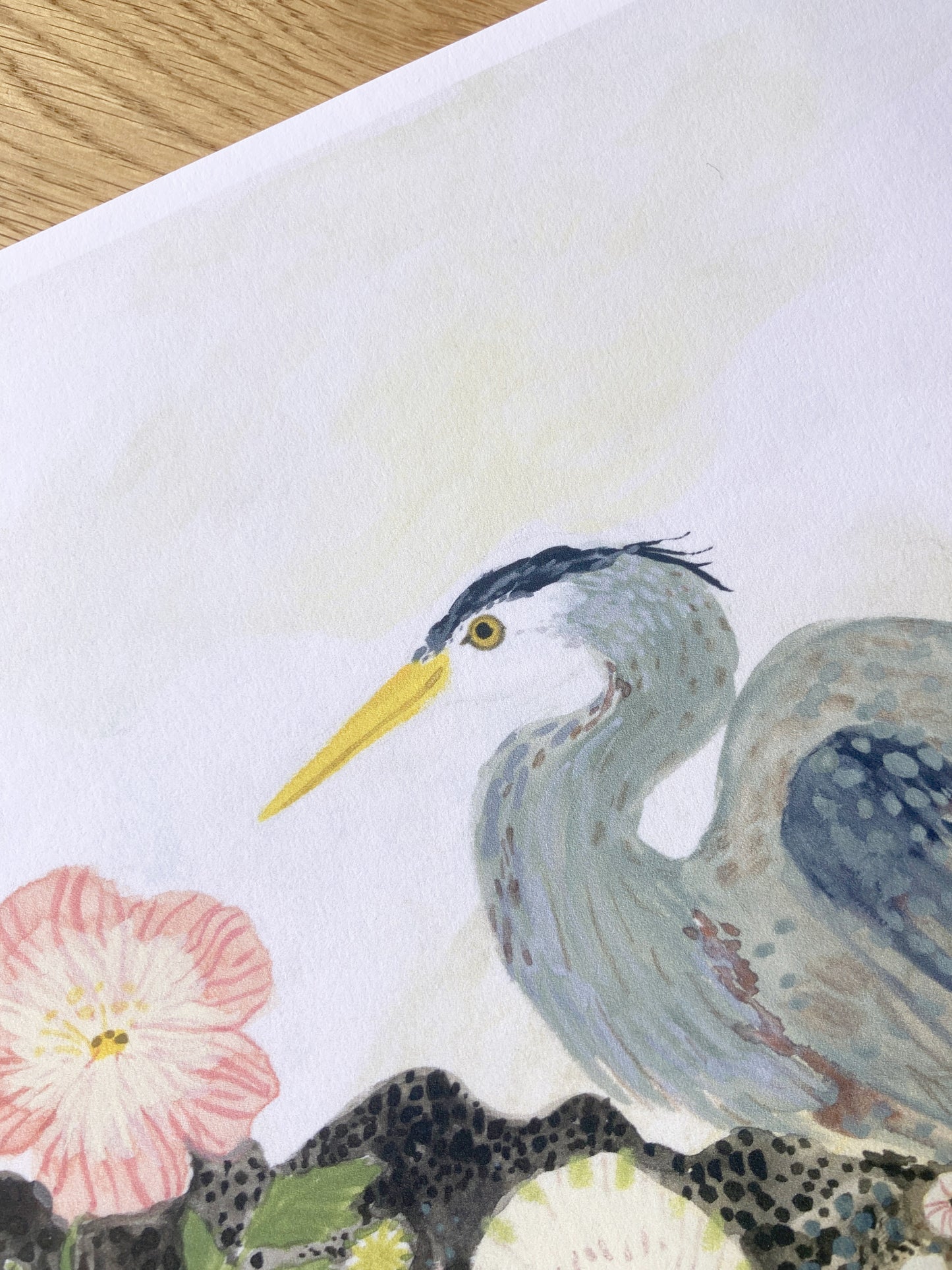 Great Blue Heron Giclée print
