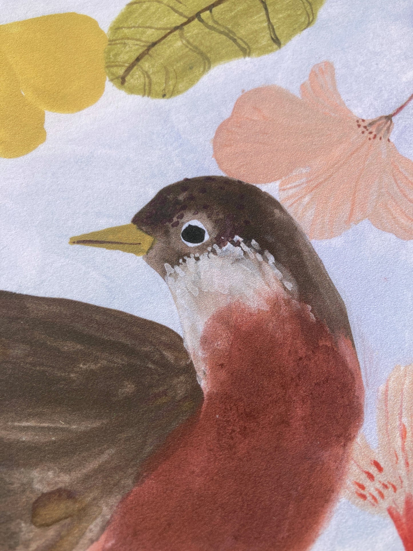 Robin Giclée print