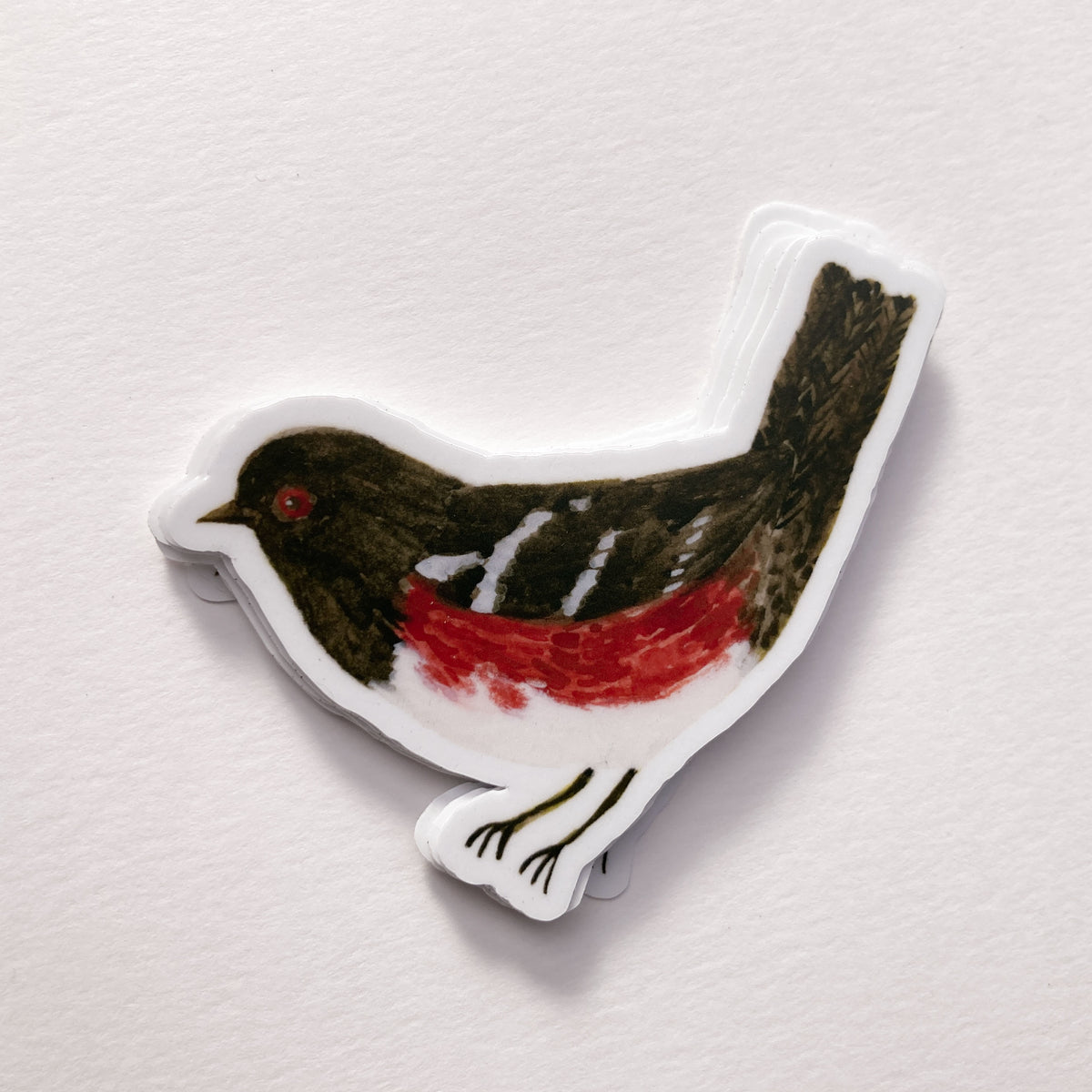 Spotted Towhee Sticker