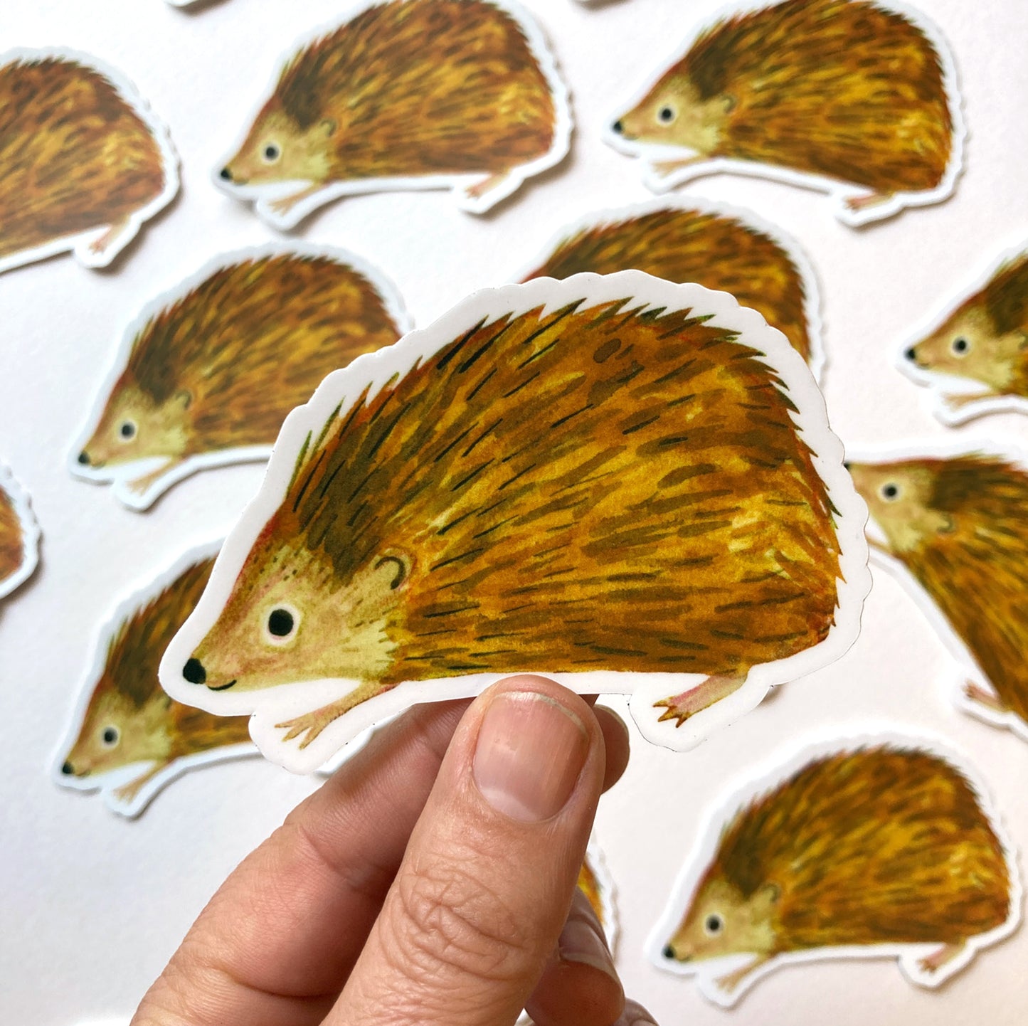 Hedgehog Sticker