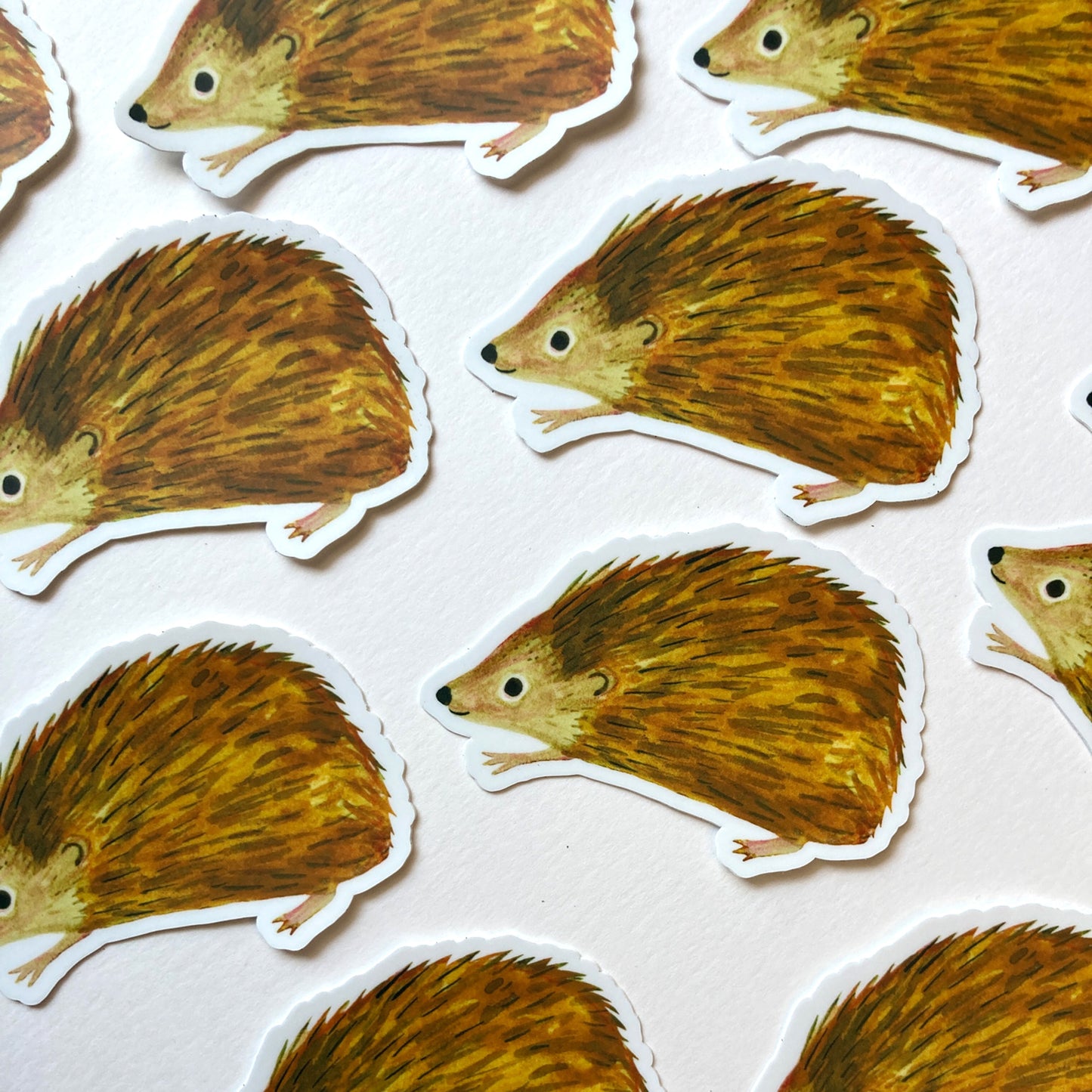 Hedgehog Sticker