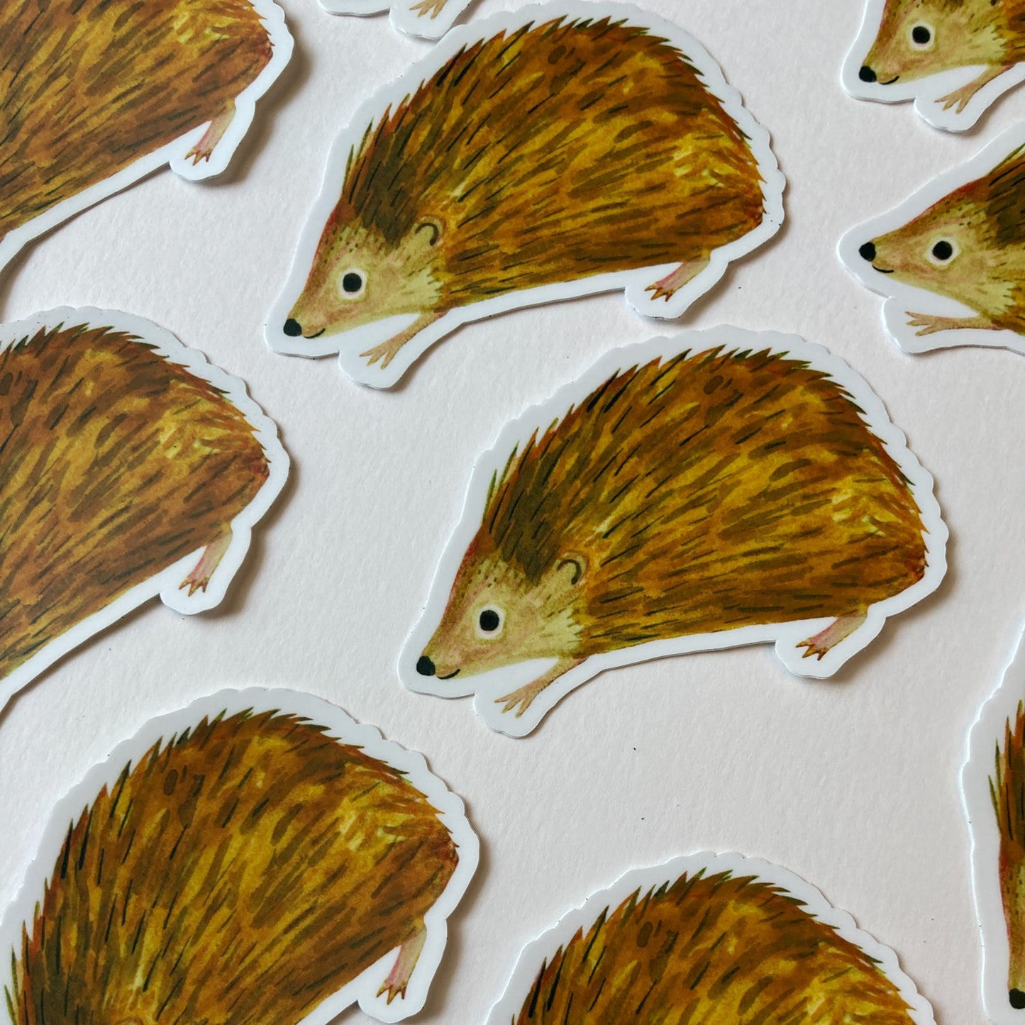 Hedgehog Sticker
