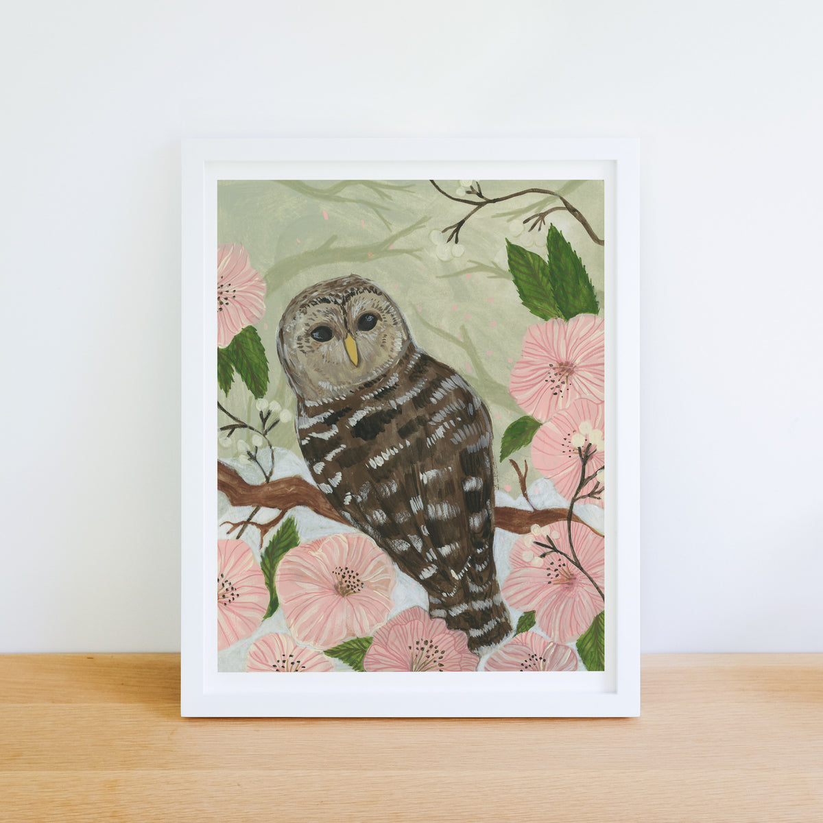 Barred Owl Art Print