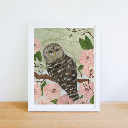 Barred Owl Art Print