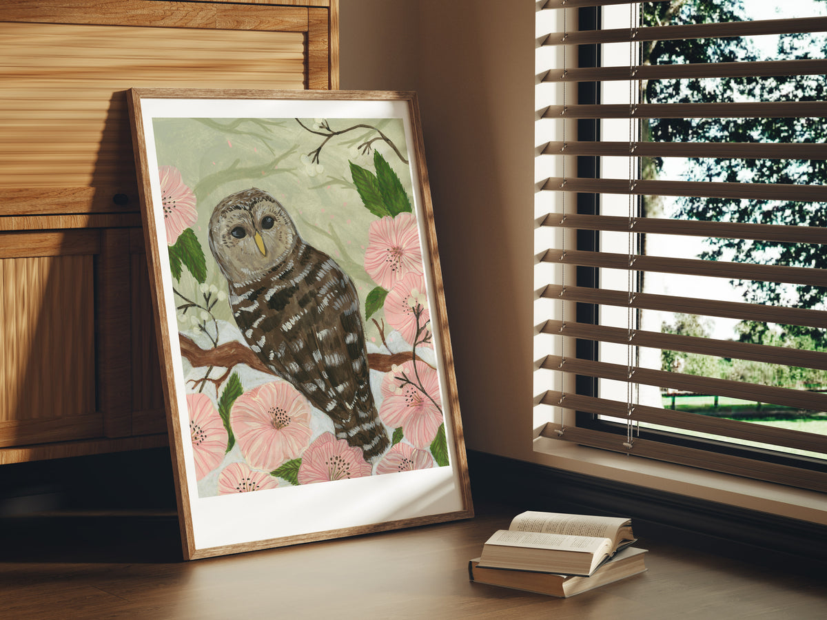 Barred Owl Art Print