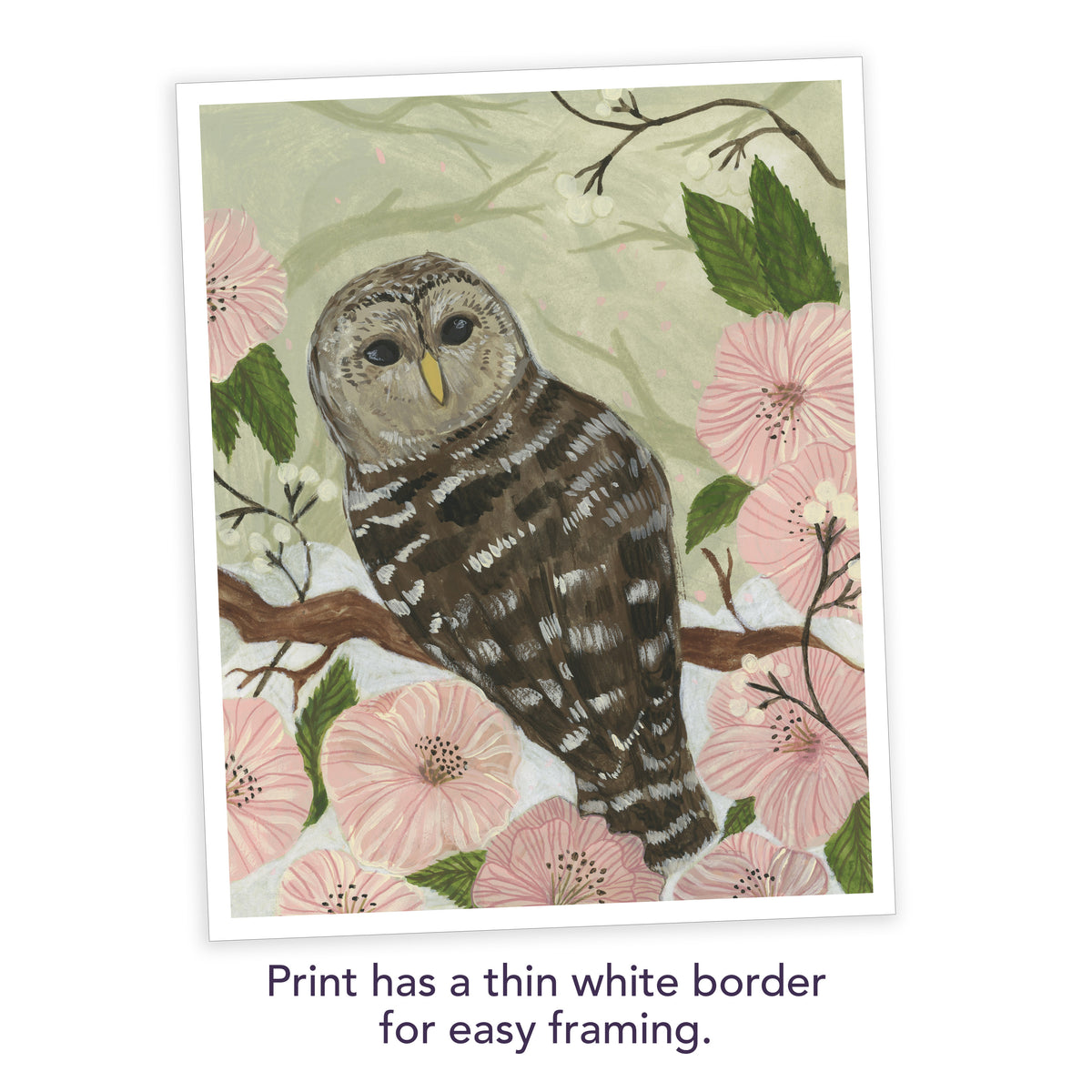 Barred Owl Art Print