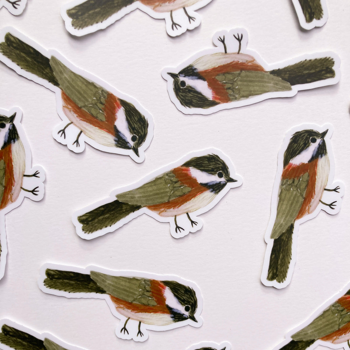A close-up of bird-shaped stickers arranged on a white background. The stickers depict small birds with olive green wings and back, a white chest, rust-red underparts, and black-and-white facial markings.