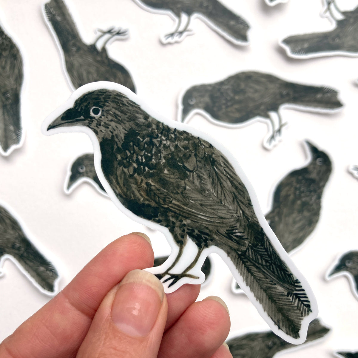 Crow Sticker