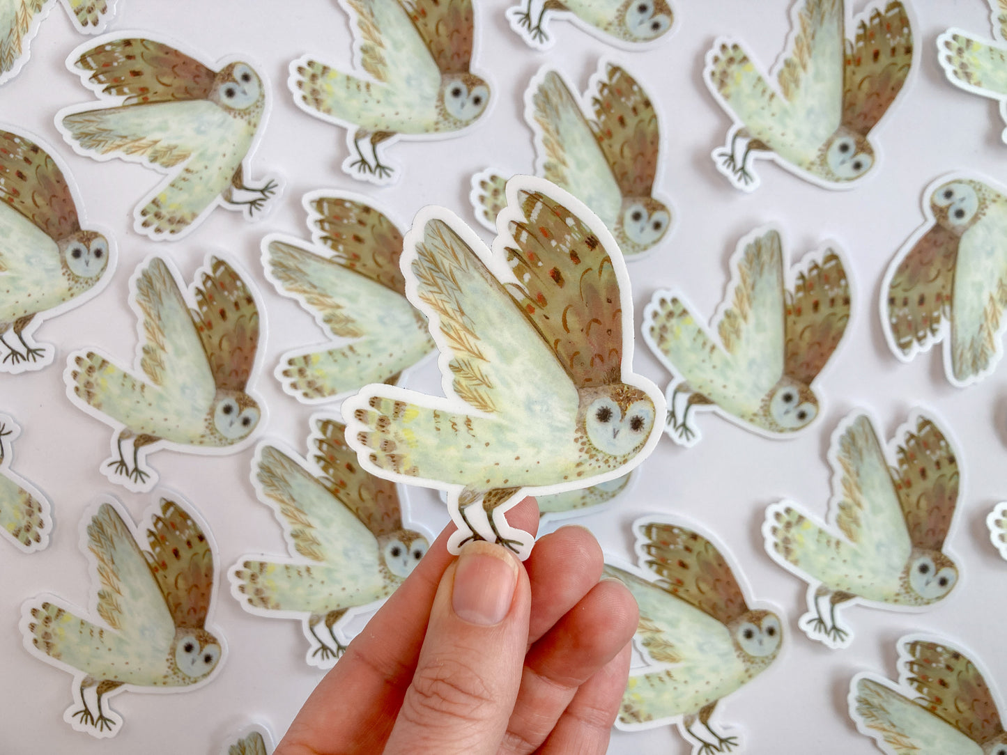 Owl Sticker