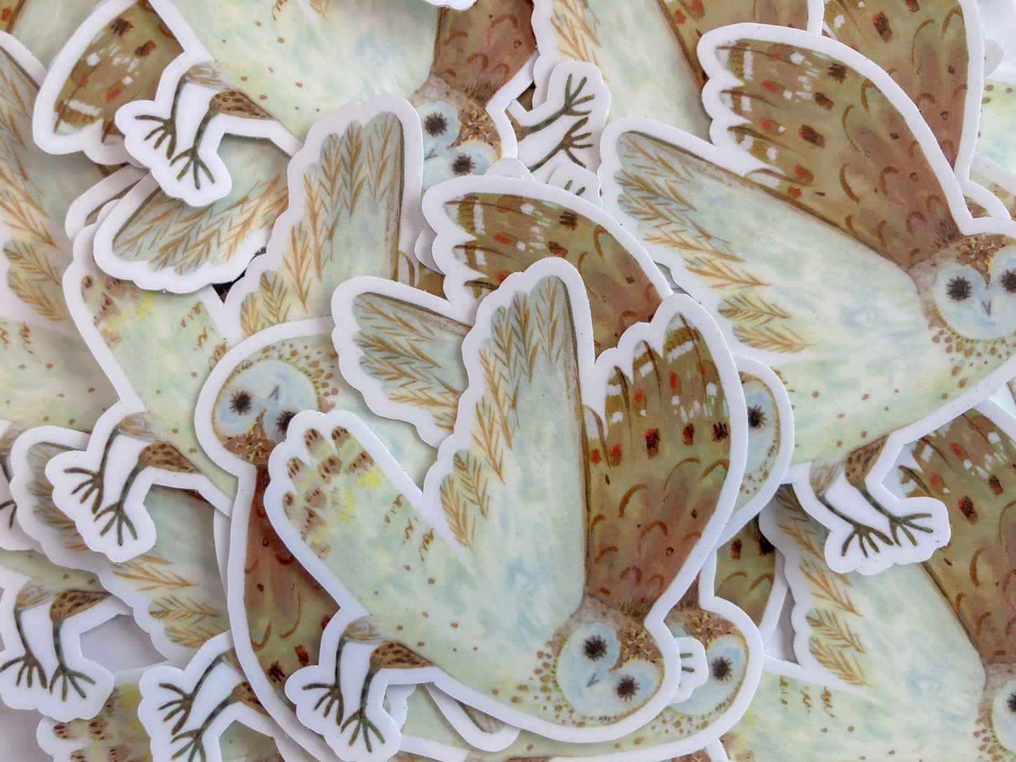 Owl Sticker