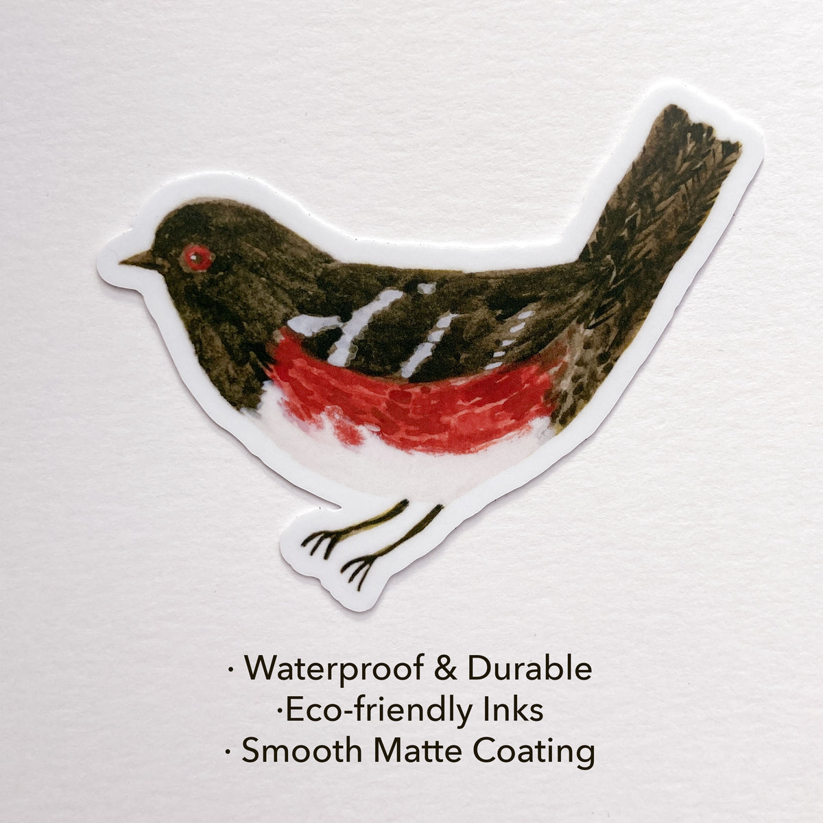 Spotted Towhee Sticker