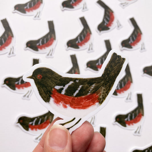 Spotted Towhee Sticker