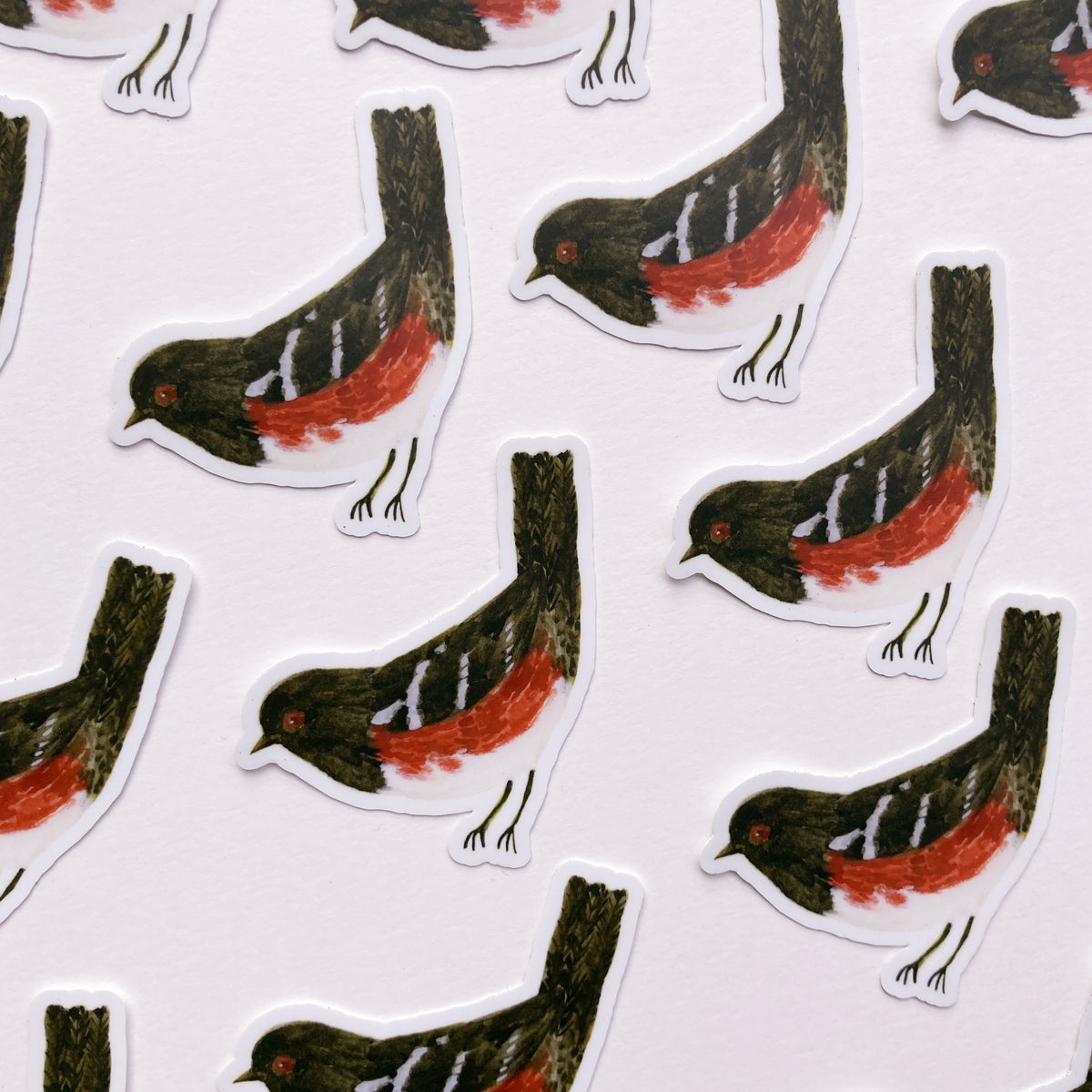 Spotted Towhee Sticker