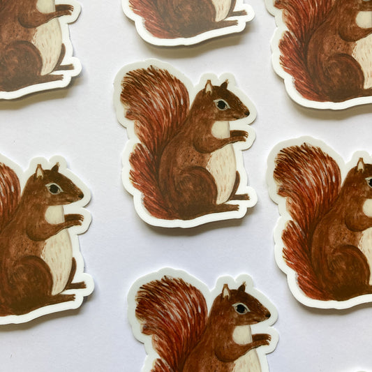 Handsome Squirrel Sticker