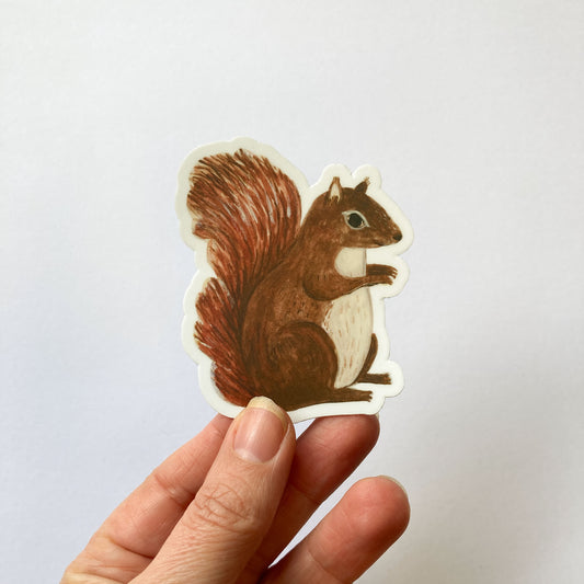 Handsome Squirrel Sticker